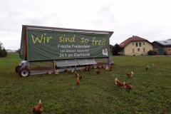 Huehnermobil-klein-mit-Hof