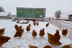Winterbild